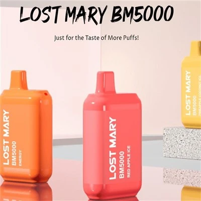 Kehilangan Mary Bm5000