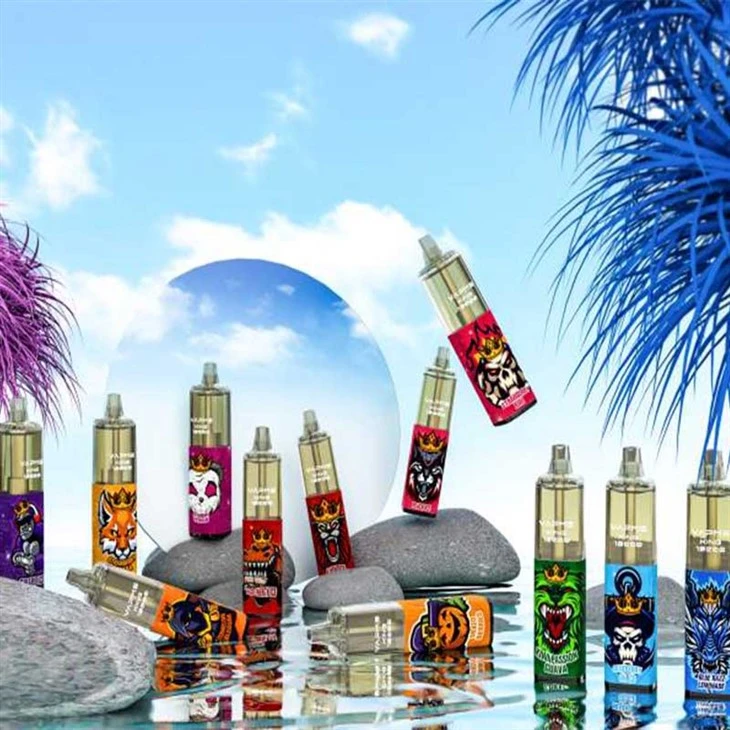 VAPME KING 12000