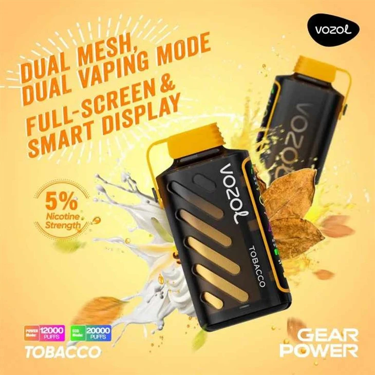 VOZOL GEAR POWER 20000