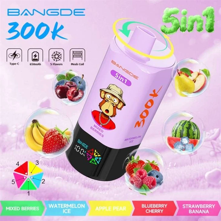 BANG DE 5in1 300K factory BANG DE 5in1 300K factory