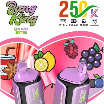 BANG KING Quads 4IN1 250000: Pengalaman Baharu dalam rokok E-Pakaian Premium ...