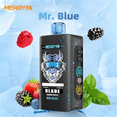 Merry Mi Blade 30000: Bukan Sekadar Menyusun Spesifikasi, Tetapi Pengalaman E...