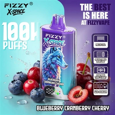 Fizzy 100K X Space: Ia Tidak Menarik Untuk Peranti Tahan Lama; Prestasi Seben...