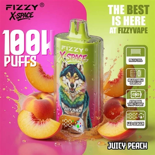 Fizzy X Space 100K: Pemerhatian Terhadap Aliran Vape Pakai{1}}Berkapasiti Tinggi