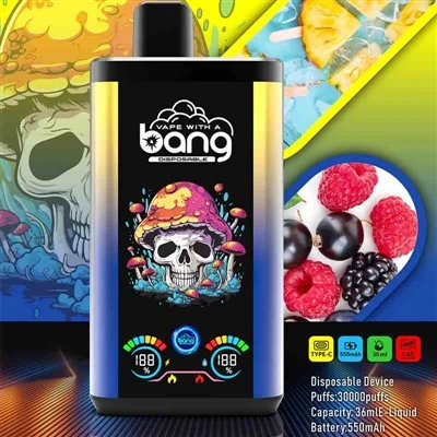 Bang 30000 Pro Dual Flas
